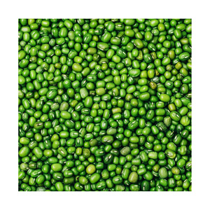 Vigna Haricots mungo prix réduit approvisionnement en vrac expédition rapide en gros - Product Image 3