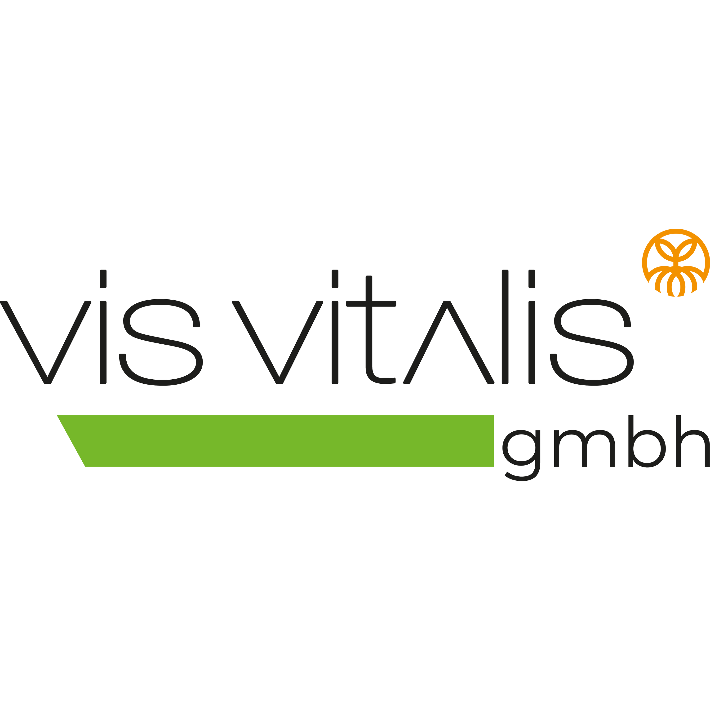 vis vitalis gmbh logo