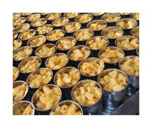 Piña enlatada con sabor tropical de gran venta-Piña enlatada de grado A del USDA para exportación en trozos, anillos y opciones de rodajas - Product Image 1