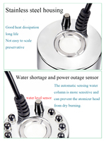Générateur de Brume Automatique DC 12V 2A, Brumisateur Électrique pour Fontaine d'Eau et Bassin, Petit Générateur de Brume Ultrasonique