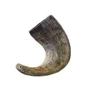 Hermoso cuerno de búfalo de agua ecológico de calidad superior diseñado a medida en forma de piña pulido por Crescent Crafts - Product Image 4