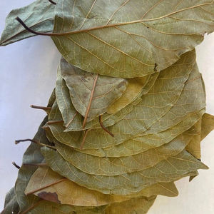 ชาใบกราวิโอลาของเวียดนามต้นทุเรียนเทศธรรมชาติตากแห้งชาสมุนไพรบรรจุเป็นกลุ่มสำหรับผลิตและส่งออก - Product Image 1