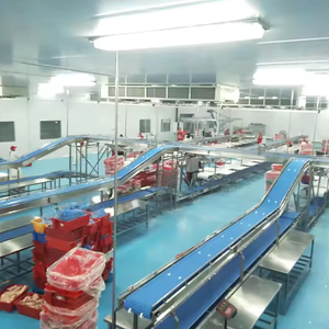 <span class=keywords><strong>Source</strong></span> usine conception professionnelle chiffre d'affaires industriel boîte convoyeur traitement de la viande ligne de convoyeur à bande - Product Image 3