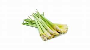 LEMONGRAMA CONGELADA BOTÁNICA PURA ETIQUETA LIMPIA APOYO INMUNE INGREDIENTE DE HIERBAS NATURALES - Product Image 2