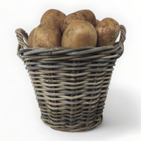 Panier à pommes de terre en rotin gris Kubu naturel avec doublure en plastique Panier de stockage des aliments avec poignées pour l'organisation des conteneurs