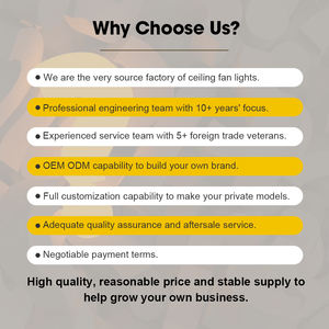 # 3306 Venta al por mayor de fábrica Lámpara de araña con ventilador de 42" 48" Ventiladores de techo LED retráctiles con control remoto Motor DC Abanicos de Techo - Product Image 6