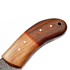 Venta caliente nueva llegada Cuchillo de caza con mango de madera de olivo Cuchillos de caza al aire libre Mango de madera de Olivo - Product Image 4