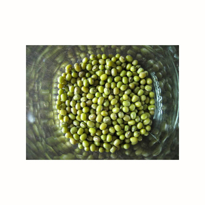 Frijoles Mung verdes pelados orgánicos/Dhal Fresh 2021 cultivo directo de China - Product Image 4
