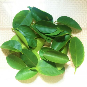 High Quality Vietnam Frozen Lemon Leaves Supplier Offering <b>Large</b> Quantity Export with Best Competitive Price - Product Image 1