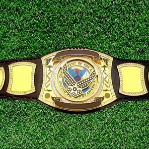 Vente en gros OEM/ODM personnalisé 4MM d'épaisseur en cuir premium ceinture de championnat de lutte et de boxe ceinture lourde - Product Image 1