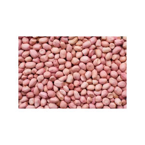 At Low Price High Quality Dried Organic Red Skin <b>Peanuts</b> Available for Sale at Low Price High Quality Raw <b>Peanuts</b> - Product Image 5