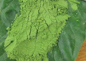 Polvo de hoja Pandan sabor verde natural alta calidad precio barato suministro a granel de Vietnam - Product Image 6