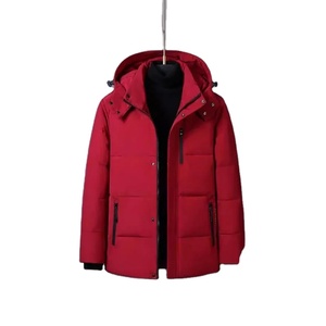 Doudounes à capuche décontractées pour hommes Manteaux en duvet de canard blanc d'hiver pour hommes Qualité masculine Extérieur coupe-vent Épais et chaud - Product Image 1