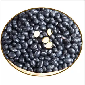 수출 검은 강낭콩 공장 가격 및 고품질 비 Gmo 흰 콩 다른 콩 lupin 길고 둥근 검은 색 K
