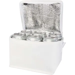 Borsa termica con capacità per 6 lattine in tessuto non tessuto riciclato certificato GRS Spectrum - 4L - Product Image 1