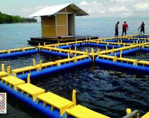 Jaula flotante para peces de HDPE de la mejor calidad, tipo flexible, 4m x 4m - 8 agujeros/unidad para piscicultura - Product Image 4