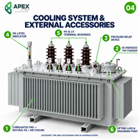 Transformateur de distribution immergé dans l'huile à haute efficacité APEX S22-M 315-1600 kVA 20 kV/400-415 V avec réservoir corrugué scellé IEC 60076