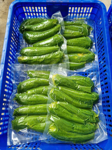 Aguacate Congelado de Alta Calidad con Rico Sabor a Mantequilla, Exportación de Fábrica de Vietnam, Aguacate Congelado para Bebidas, Postres e Industria Alimentaria - Product Image 5
