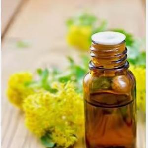 Extrait d'herbes de galbanum sauvages Résine d'huile essentielle emballée dans des bouteilles et des fûts - Product Image 1