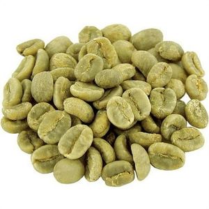 Venta Caliente de Granos de Café Verde Robusta de Vietnam, Alta Calidad, Suministro de Fábrica, Exportación al por Mayor - Product Image 1