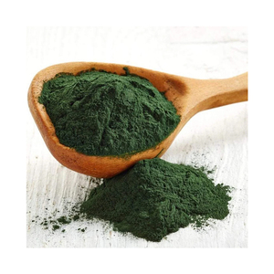 Poudre de spiruline naturelle de qualité supérieure, séchée, paquet de 25 kg, fabriquée en Inde, Herbojit International - Product Image 2