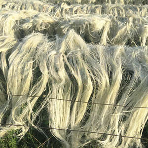 Fibra de Sisal Natural Premium para Exportación a Granel, Fibra de Sisal Resistente y Duradera, Materia Prima para Producción Industrial - Product Image 1