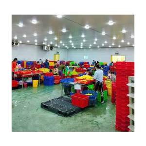 REBANADAS GRANDES AD MANGO REBANADAS DE MANGO DESHIDRATADO SIN AZÚCAR HECHAS EN VIETNAM OEM REbanadas DE MANGO EMBALAJE PERSONALIZADO - Product Image 5