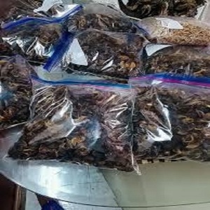 Bulk Export Frozen Dried African Snails-Salty/<b>Sour</b>/Spicy/<b>Sweet</b> Tastes Packaged in Bags for Adults - Product Image 3