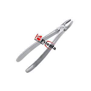 Fórceps de extracción Patrón inglés No 13 Instrumentos dentales Fabricantes hechos de acero inoxidable alemán de alta calidad - Product Image 3