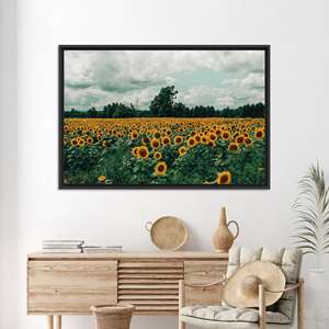 Impression sur toile champ de tournesols : art mural imprimé paysage naturel, toile encadrée noire - Product Image 1