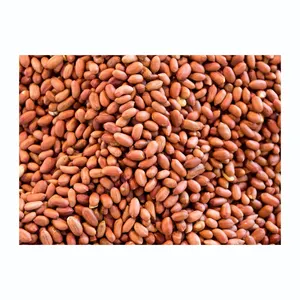 Red peanut,blanched peanut kernels,Bold PeanutsBlanched Peanuts Java Peanuts/ Raw Peanuts Kernel / Raw Peanut in Shell