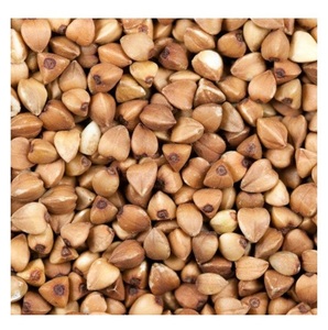 Stock Disponible al por Mayor de Granos de Trigo Sarraceno Naturales y Orgánicos/Tostados a Precios de Mayoreo - Product Image 3