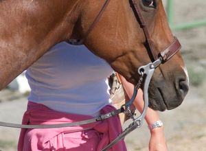 Bridon sans mors de qualité supérieure pour chevaux, pour l'entraînement et l'équitation quotidienne par ARMANDIOUS - Product Image 4
