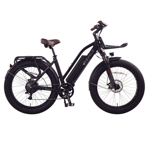 Bicicleta Eléctrica para Adultos con Batería de Litio, Cuadro de Aleación de Aluminio, Conducción Suave, Ligera y Estable para Desplazamientos Urbanos y Ejercicio - Product Image 5