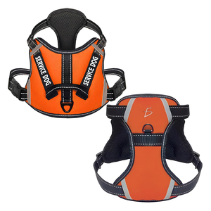 Pettorina per Cani Regolabile di Lusso, Comoda e Riflettente con Maniglia per Facile Passeggio, Taglie da XS a XL, Realizzata in Poliestere - Product Image 4