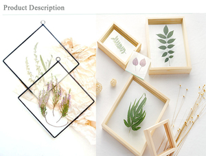 Bán Buôn Đúp Sided Nhà Máy Kính Acrylic Hình Ảnh Khung Và Hình Ảnh Khung Tường Nghệ Thuật Ép Hoa Khung - Product Image 5