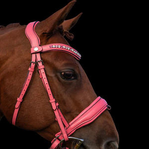 Bridon de dressage complet Rose Deluxe pour chevaux, en cuir de qualité supérieure - Product Image 1