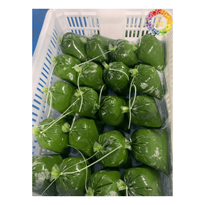 Cubes de tapioca surgelés, tapioca naturel surgelé, racine de manioc surgelée, vente en gros de manioc frais surgelé IQF, origine Vietnam - Product Image 2