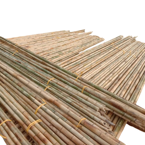 Canes de bambou traitées durables pour panneaux d'écran et cloisons Matières premières de bambou naturel - Product Image 5