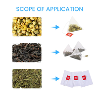 Équipement d'emballage de sachets de thé en nylon de soie à filtre triangulaire pour petites herbes, haute précision, 2g 5g, machine d'emballage de sachets de thé en pyramide