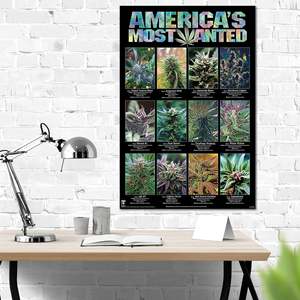 America's Most Wanted <b>Poster</b> Modern Design Style Black Frame Paper Material Marijuana Strains Wall Art - Product Image 1