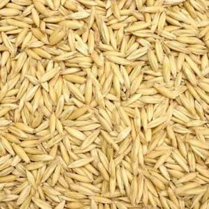 Flocons d'avoine 100% naturels et sains, céréales de petit-déjeuner de qualité supérieure, grains d'avoine à vendre - Product Image 1