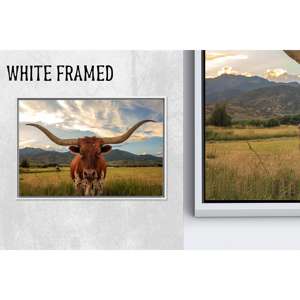 Arte impreso en lienzo para pared: Texas Big Cow, decoración para la cueva del hombre, lienzo con marco blanco, 1 pieza - Product Image 1