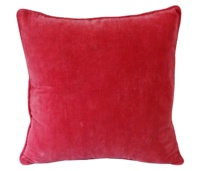Housse de coussin en velours de luxe à imprimé numérique avec fermeture éclair dissimulée |   Housse de coussin décorative amovible pour la maison et l'hôtel