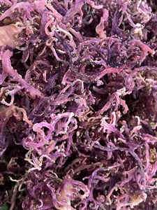 <b>Sea</b> <b>Moss</b> - Irish <b>Moss</b> - Seamoss <b>Raw</b> Organic - Dried <b>Sea</b> <b>Moss</b> - Natural Wildcrafted, Pure, Non-GMO & Gluten-Free <b>Sea</b> <b>Moss</b> - Product Image 6