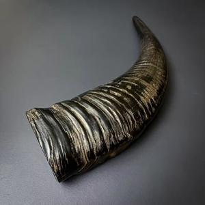 Cuernos para beber de búfalo orgánico de alta calidad Natural pulido y limpiado de India Diseño animal elegante - Product Image 1