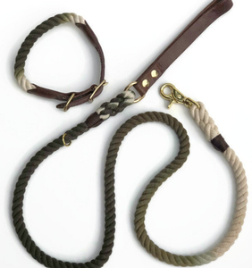 Collier de chien en cuir vert de haute qualité pour lévrier et Whippet - Product Image 2