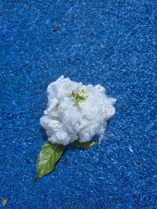 12Dx 51mm HCD-Hollow Conjugué Non Siliconé Fibre de Polyester Recyclé Vietnam meilleur prix Certifié ISO, OEKO & GRS - Product Image 5