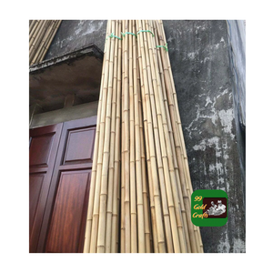 FOURNISSEUR DE POLES EN BAMBOU DU VIETNAM BAMBOU BRUT FORT DE HAUTE QUALITÉ AVEC DES PRIX BON MARCHÉ POUR L'EXPORTATION ET LA CONSTRUCTION - Product Image 3