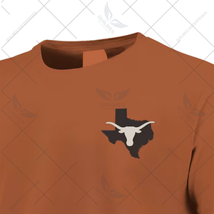 Camiseta ligera personalizada de los Longhorns de la Universidad de Texas, camiseta unisex de color naranja quemado de Bevo State Comfort Colors - Product Image 3